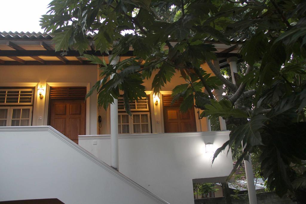 Lionka Guesthouse Mirissa Exterior foto
